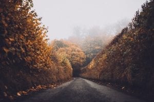 Road in fall